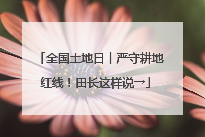全国土地日丨严守耕地红线！田长这样说→