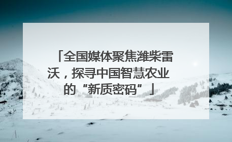 全国媒体聚焦潍柴雷沃，探寻中国智慧农业的“新质密码”