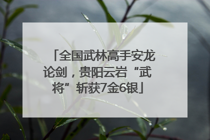 全国武林高手安龙论剑，贵阳云岩“武将”斩获7金6银