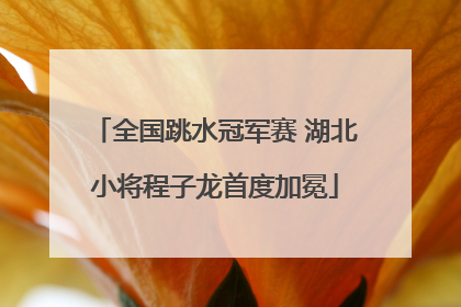 全国跳水冠军赛 湖北小将程子龙首度加冕