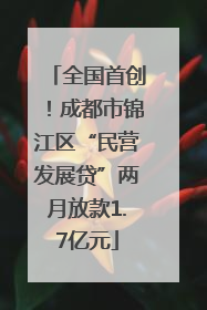 全国首创！成都市锦江区“民营发展贷”两月放款1.7亿元
