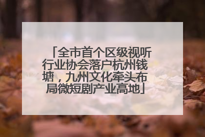 全市首个区级视听行业协会落户杭州钱塘，九州文化牵头布局微短剧产业高地