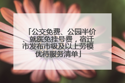 公交免费、公园半价、就医免挂号费，宿迁市发布市级及以上劳模优待服务清单