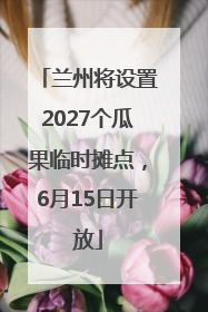 兰州将设置2027个瓜果临时摊点，6月15日开放