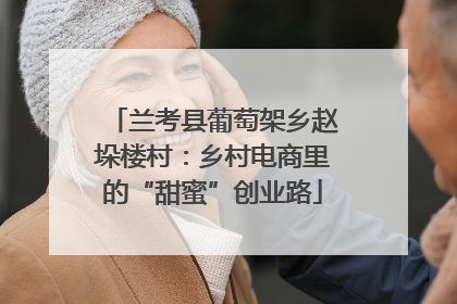 兰考县葡萄架乡赵垛楼村：乡村电商里的“甜蜜”创业路