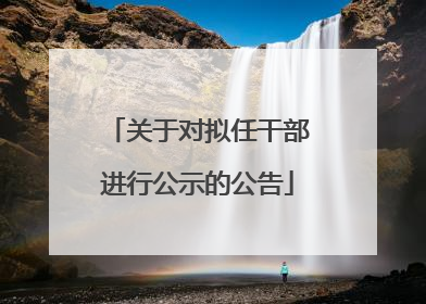 关于对拟任干部进行公示的公告