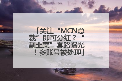 关注“MCN总裁”即可分红？“割韭菜”套路曝光！多账号被处理