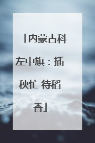 内蒙古科左中旗：插秧忙 待稻香