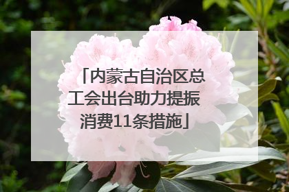 内蒙古自治区总工会出台助力提振消费11条措施