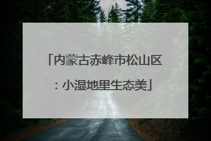 内蒙古赤峰市松山区：小湿地里生态美