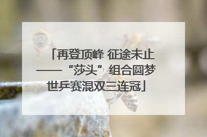 再登顶峰 征途未止——“莎头”组合圆梦世乒赛混双三连冠