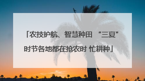 农技护航、智慧种田 “三夏”时节各地都在抢农时 忙耕种