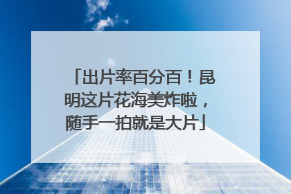 出片率百分百！昆明这片花海美炸啦，随手一拍就是大片