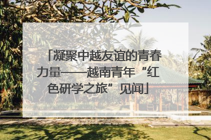 凝聚中越友谊的青春力量——越南青年“红色研学之旅”见闻