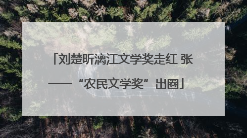 刘楚昕漓江文学奖走红 张一一“农民文学奖”出圈