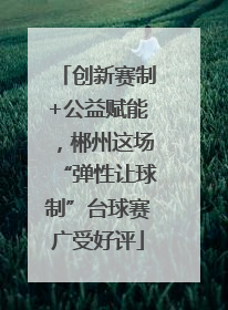 创新赛制+公益赋能，郴州这场“弹性让球制”台球赛广受好评