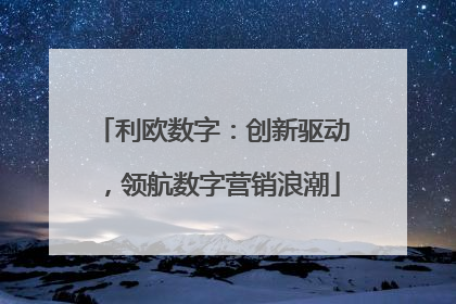 利欧数字：创新驱动，领航数字营销浪潮
