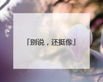 别说，还挺像