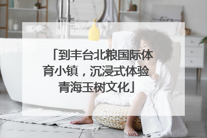 到丰台北粮国际体育小镇，沉浸式体验青海玉树文化