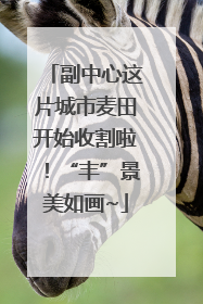副中心这片城市麦田开始收割啦！“丰”景美如画~
