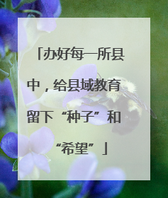办好每一所县中，给县域教育留下“种子”和“希望”