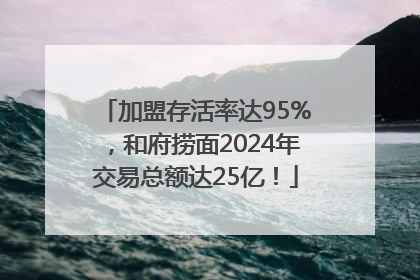 加盟存活率达95%，和府捞面2024年交易总额达25亿！