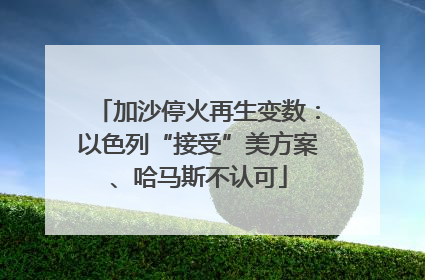 加沙停火再生变数：以色列“接受”美方案、哈马斯不认可