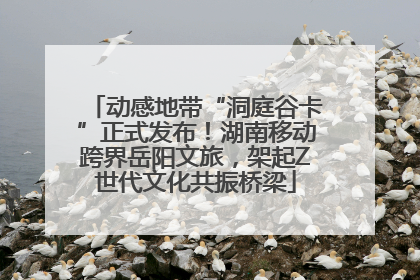 动感地带“洞庭谷卡”正式发布！湖南移动跨界岳阳文旅，架起Z世代文化共振桥梁