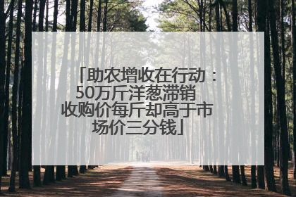 助农增收在行动：50万斤洋葱滞销 收购价每斤却高于市场价三分钱