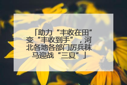 助力“丰收在田”变“丰收到手”，河北各地各部门厉兵秣马迎战“三夏”