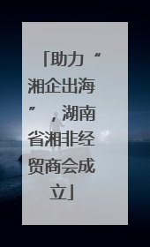 助力“湘企出海”，湖南省湘非经贸商会成立