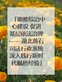 助推综治中心建设 促进基层依法治理——湖北黄石司法行政系统深入践行新时代枫桥经验