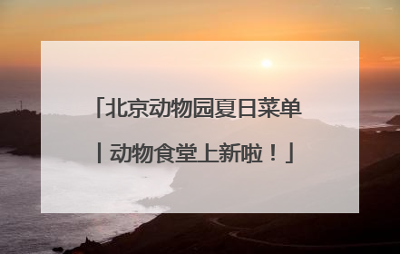 北京动物园夏日菜单丨动物食堂上新啦！