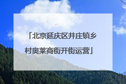 北京延庆区井庄镇乡村奥莱商街开街运营