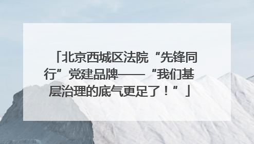 北京西城区法院“先锋同行”党建品牌——“我们基层治理的底气更足了！”