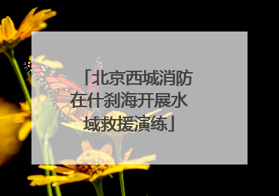 北京西城消防在什刹海开展水域救援演练
