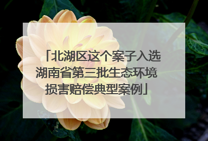 北湖区这个案子入选湖南省第三批生态环境损害赔偿典型案例