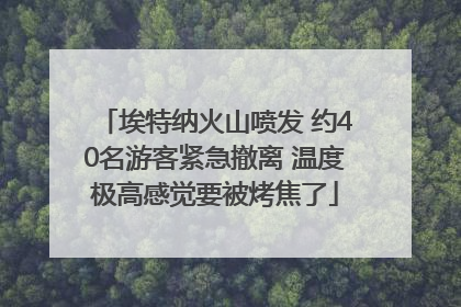 埃特纳火山喷发 约40名游客紧急撤离 温度极高感觉要被烤焦了