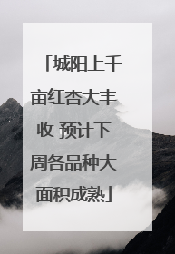城阳上千亩红杏大丰收 预计下周各品种大面积成熟