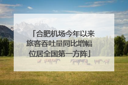 合肥机场今年以来旅客吞吐量同比增幅位居全国第一方阵
