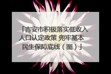 吉安市积极落实低收入人口认定政策 兜牢基本民生保障底线（图）