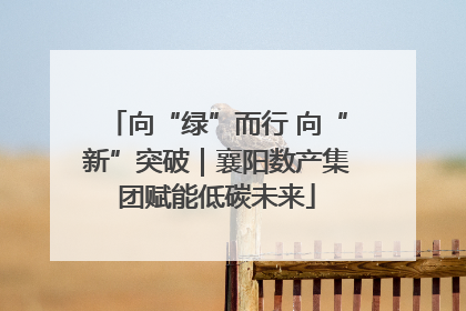 向“绿”而行 向“新”突破｜襄阳数产集团赋能低碳未来