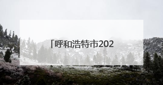 呼和浩特市2025年就业创业服务进校园暨第8场高校巡回招聘会举办