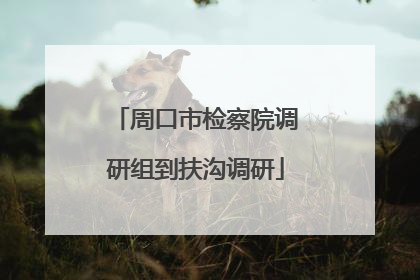 周口市检察院调研组到扶沟调研