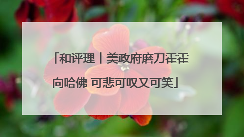 和评理丨美政府磨刀霍霍向哈佛 可悲可叹又可笑