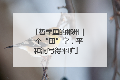 哲学里的郴州｜一个“田”字，平和洞写得平旷