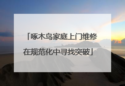 啄木鸟家庭上门维修在规范化中寻找突破