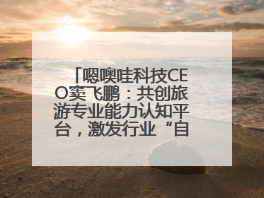 嗯噢哇科技CEO窦飞鹏：共创旅游专业能力认知平台，激发行业“自生长”力量