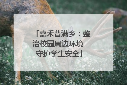 嘉禾普满乡：整治校园周边环境 守护学生安全