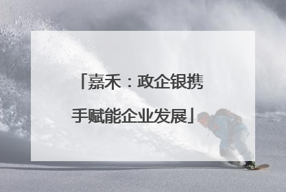 嘉禾：政企银携手赋能企业发展